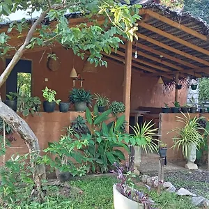 https://sigiriya-danu-homestay.kandyhotelsnow.com